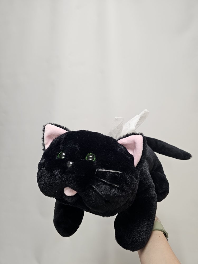 кот черный (2)